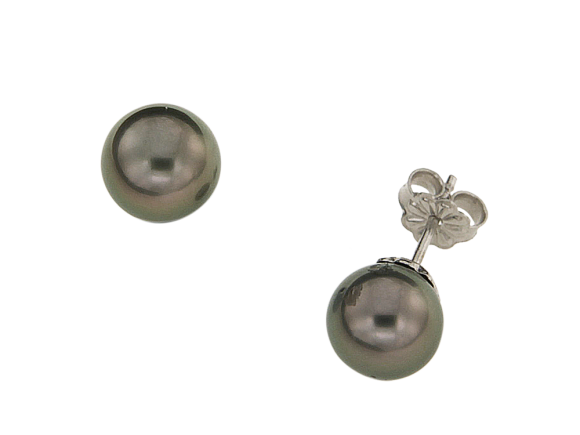 Σκουλαρίκια σε Λευκόχρυσο 18Κ με Μαργαριτάρια Ταίτης μαύρα Φ8-8,5χιλ